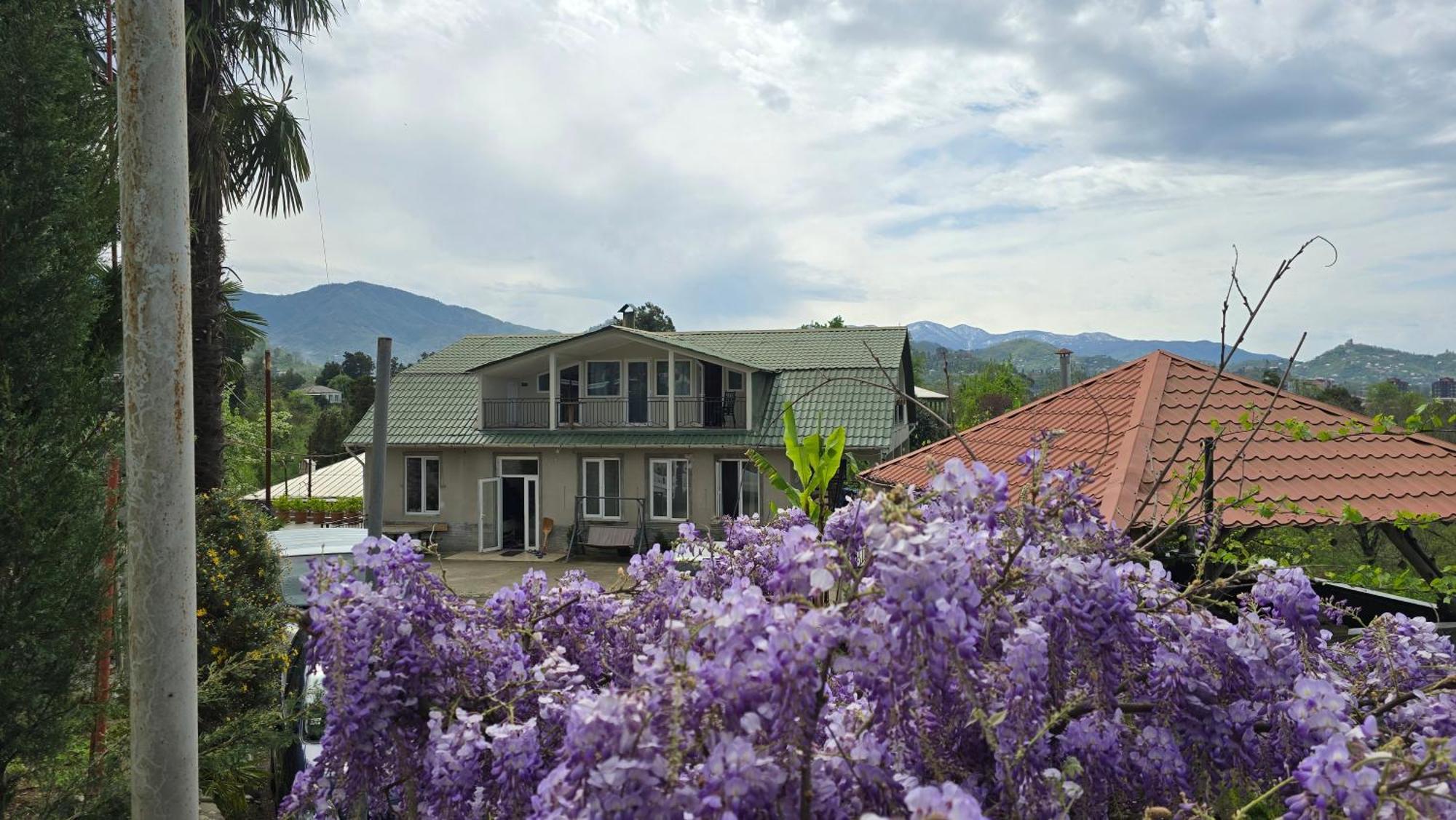 Olga'S Home Batumi Zewnętrze zdjęcie